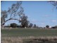 Appleby NSW 2340