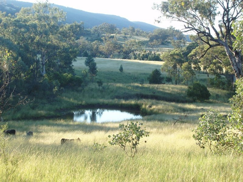Tamworth NSW 2340