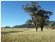 Tamworth NSW 2340