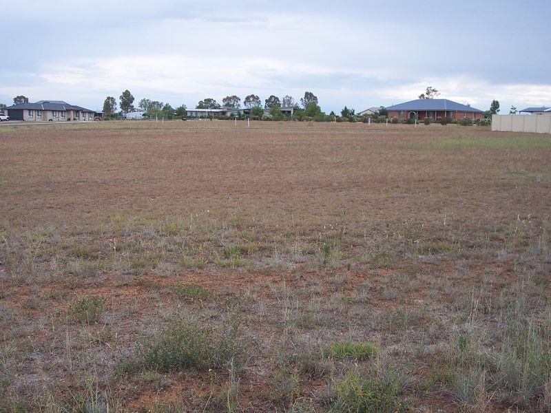 Westdale NSW 2340