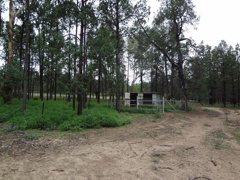 40 Woonooka Road, Moore Creek NSW 2340