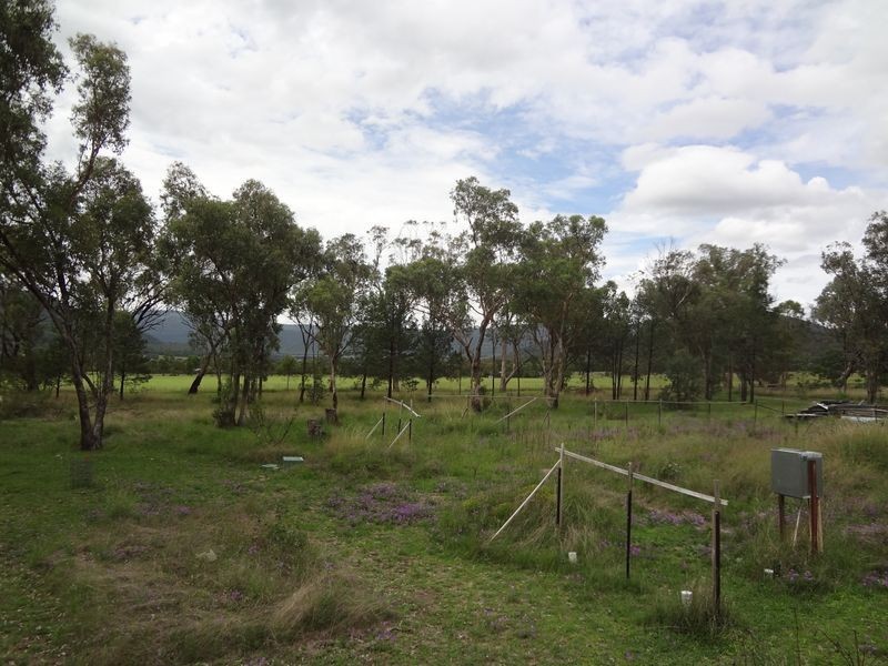 40 Woonooka Road, Moore Creek NSW 2340