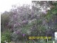 Currabubula NSW 2342