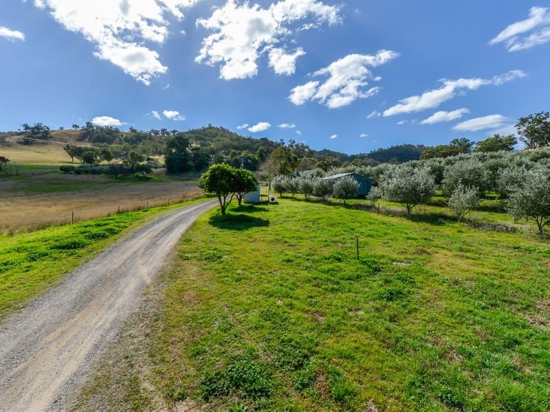 Dungowan NSW 2340