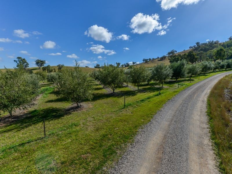 Dungowan NSW 2340