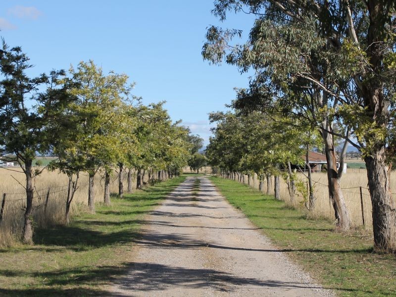 78 Oxley Lane, Westdale NSW 2340