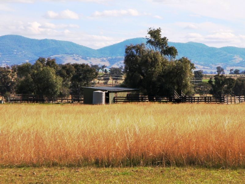 78 Oxley Lane, Westdale NSW 2340