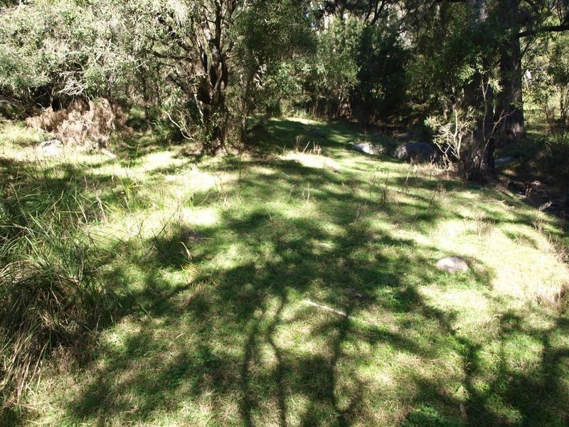 Attunga NSW 2345