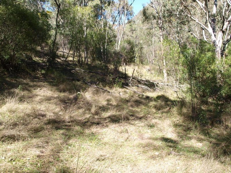 Attunga NSW 2345