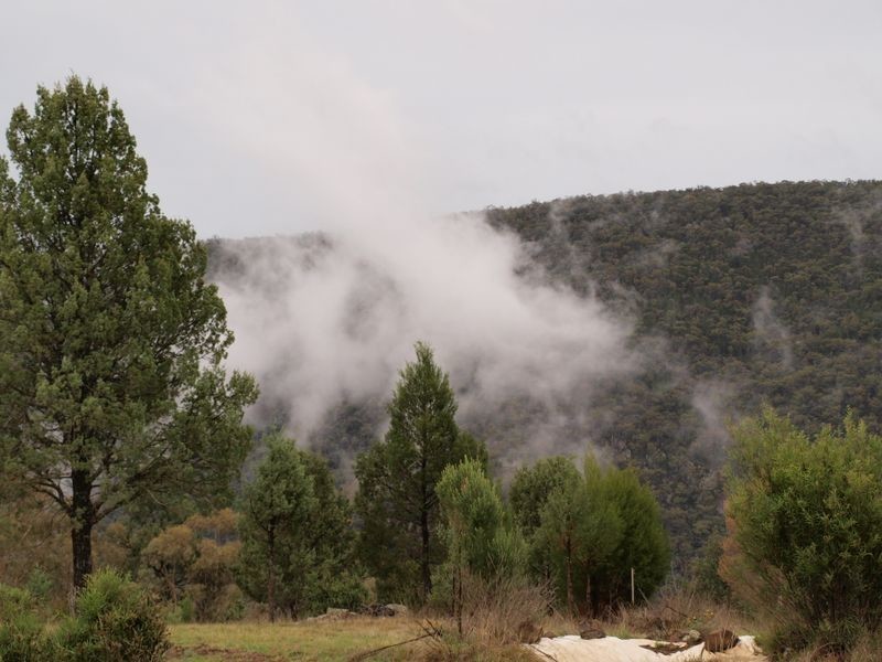 Attunga NSW 2345