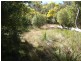 Attunga NSW 2345