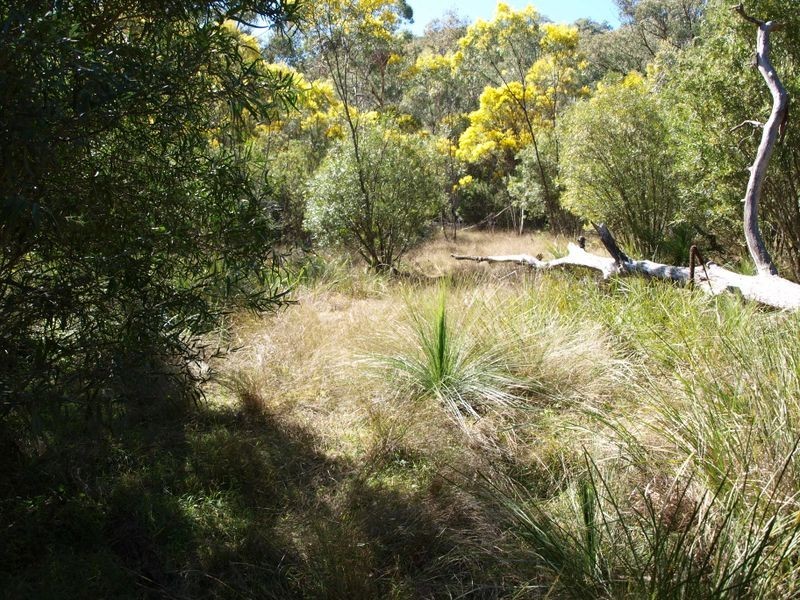 Attunga NSW 2345
