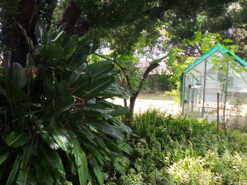 32 Bell Street, Tamworth NSW 2340