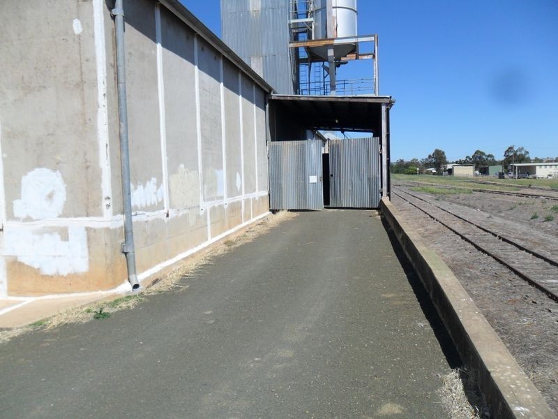 10-12 Arthur Street, Manilla NSW 2346