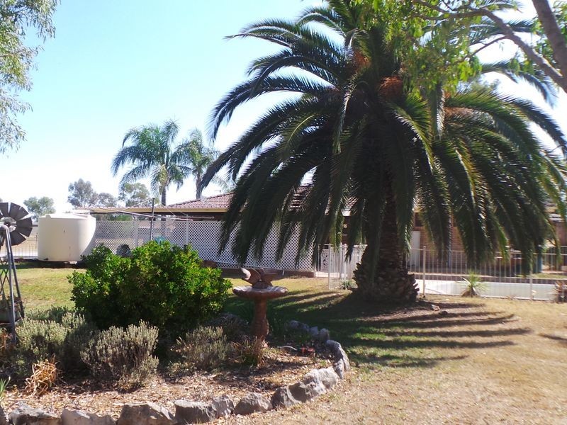 1432 Manilla Road, Hallsville NSW 2340