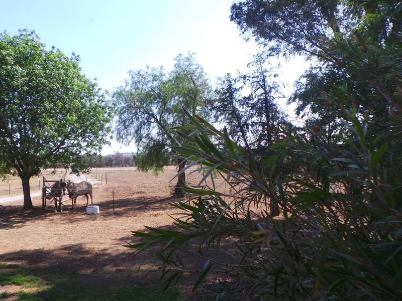 1432 Manilla Road, Hallsville NSW 2340