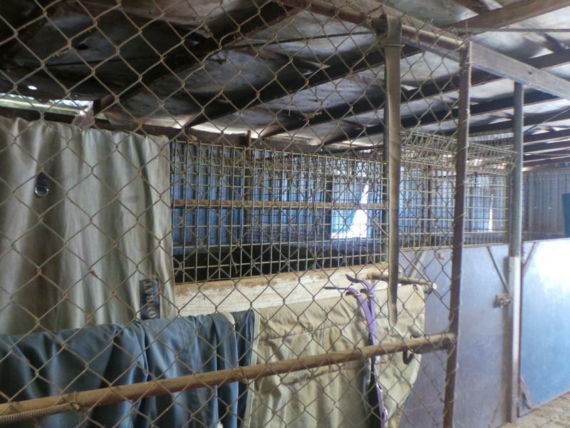 1432 Manilla Road, Hallsville NSW 2340