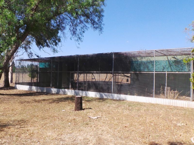 1432 Manilla Road, Hallsville NSW 2340