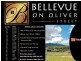 Lot 9/’Bellevue Oliver Street, Tamworth NSW 2340