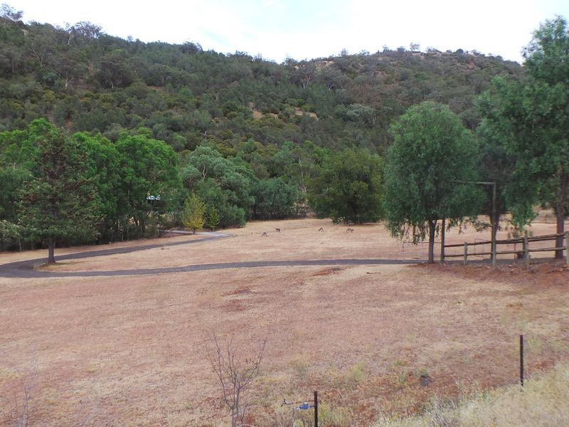 265 Stirling Road, Moore Creek NSW 2340