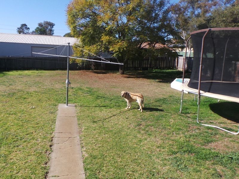 14 McDonald Crescent, Tamworth NSW 2340