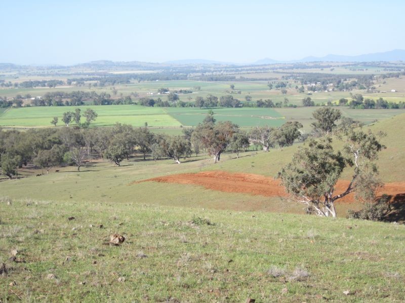 Nemingha NSW 2340