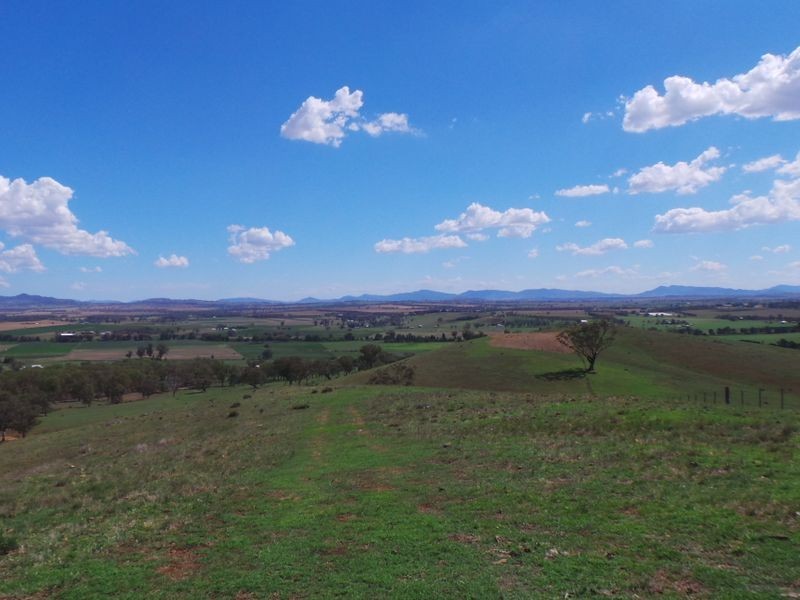 Nemingha NSW 2340