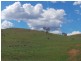 Nemingha NSW 2340