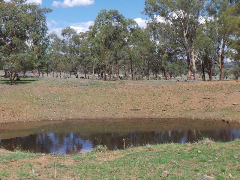 Nemingha NSW 2340