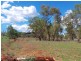 Nemingha NSW 2340