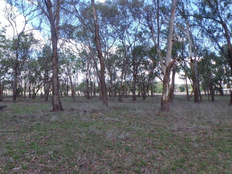 Nemingha NSW 2340