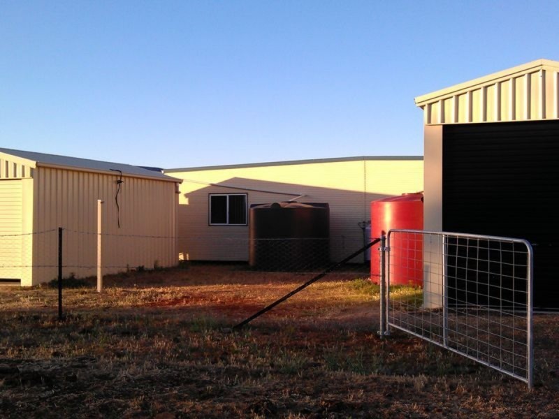 Nemingha NSW 2340