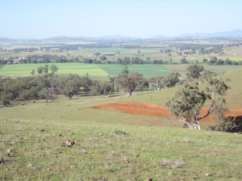 Nemingha NSW 2340