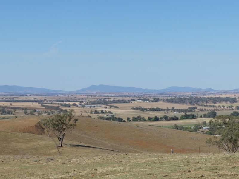 Nemingha NSW 2340