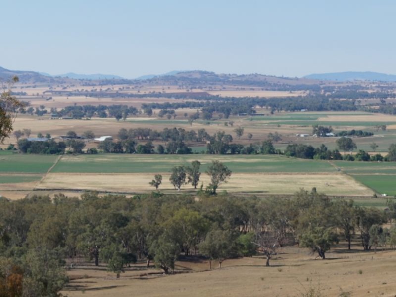 Nemingha NSW 2340