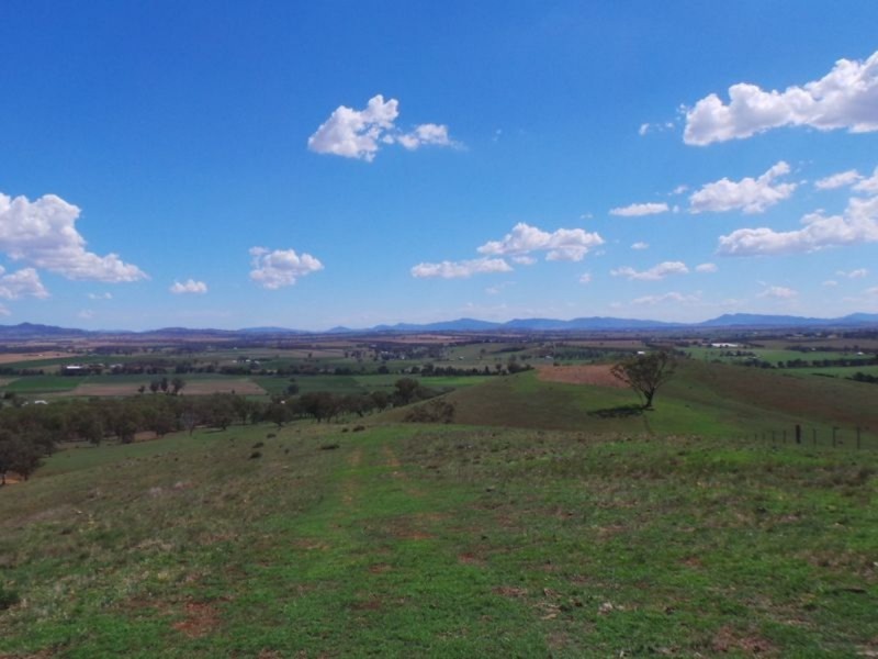 Nemingha NSW 2340