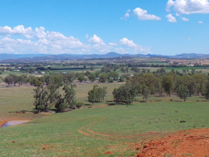 Nemingha NSW 2340