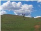 Nemingha NSW 2340