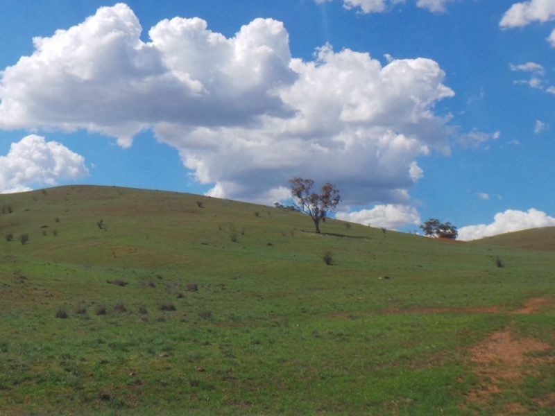 Nemingha NSW 2340
