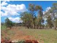 Nemingha NSW 2340