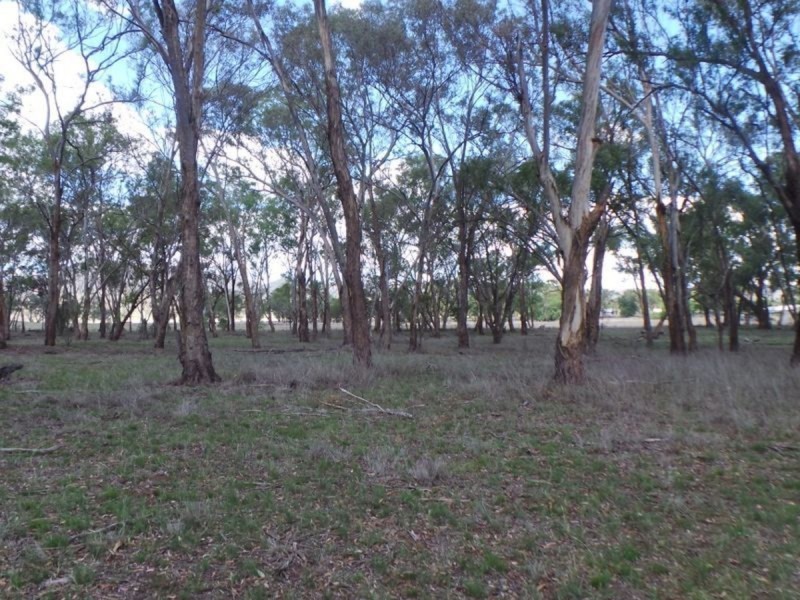 Nemingha NSW 2340