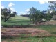 Nemingha NSW 2340