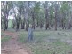 Nemingha NSW 2340