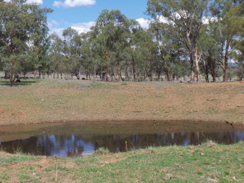 Nemingha NSW 2340