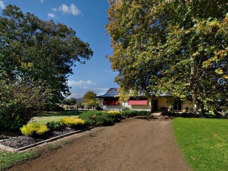Quirindi NSW 2343