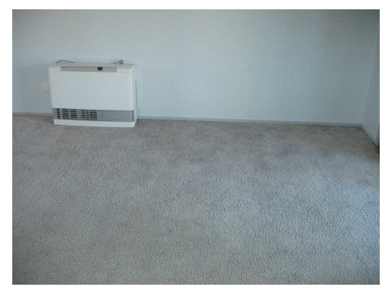 31 Sussex Street, Tamworth NSW 2340