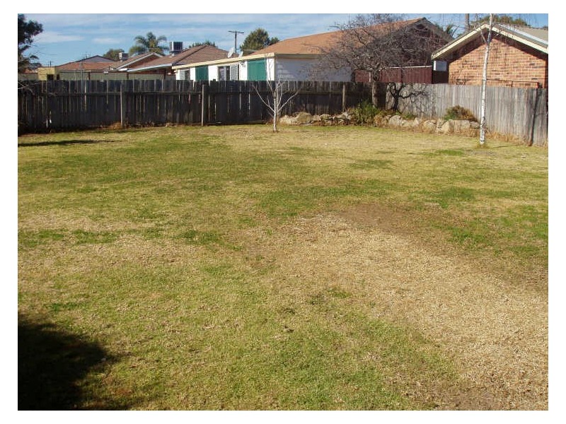 31 Sussex Street, Tamworth NSW 2340