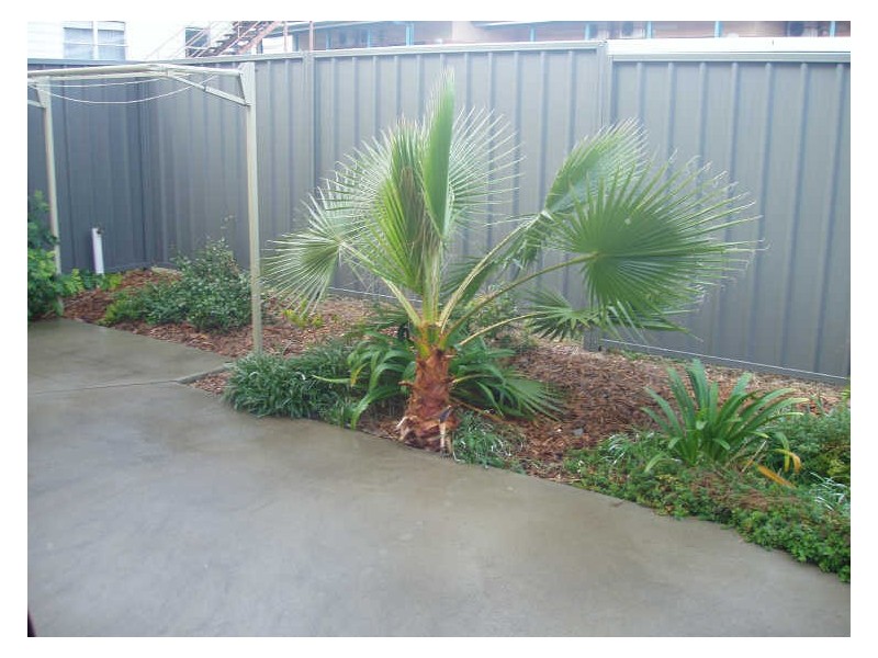 8/73 Bligh Street, Tamworth NSW 2340