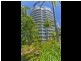 19 Riverview Parade, Surfers Paradise QLD 4217