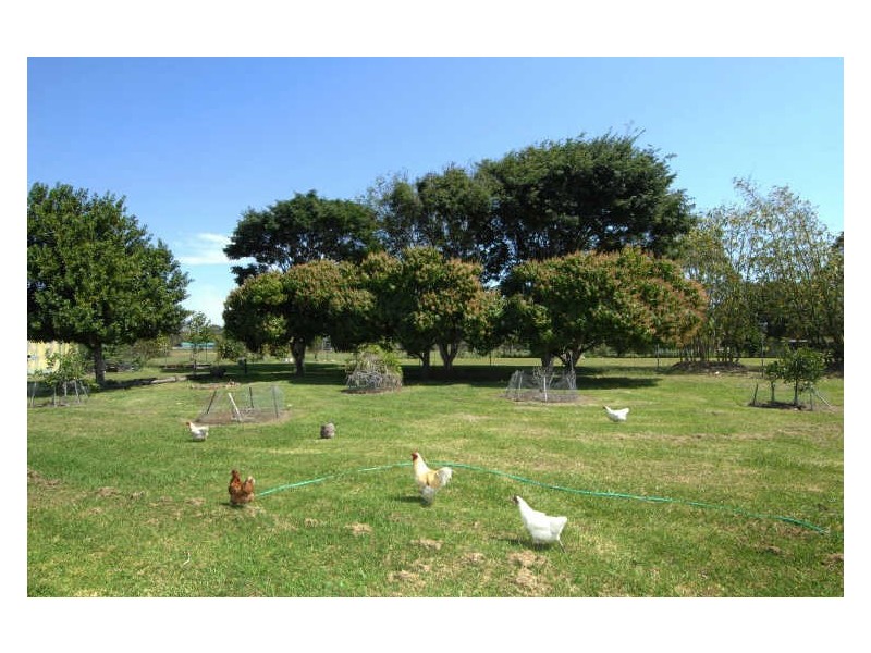 11 Maryland Avenue, Carrara QLD 4211